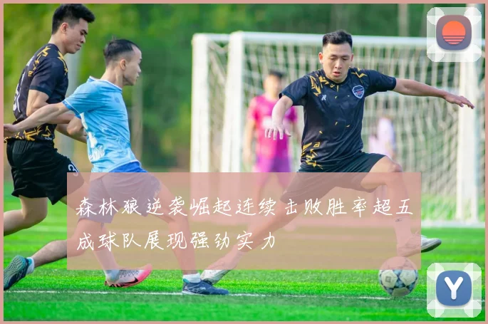 森林狼逆袭崛起连续击败胜率超五成球队展现强劲实力