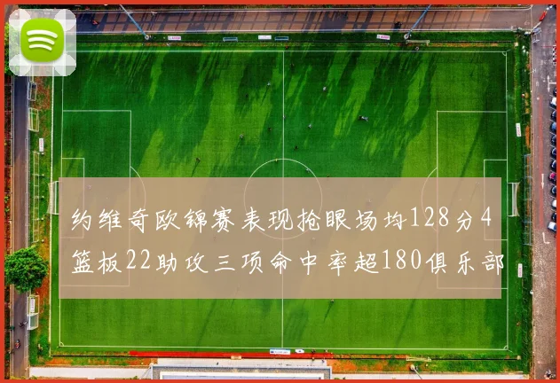约维奇欧锦赛表现抢眼场均128分4篮板22助攻三项命中率超180俱乐部